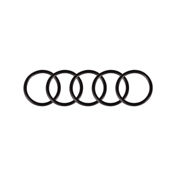 Confezione da 5 O-Ring per Cheyenne Thunder e Spirit
